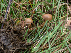 20261013-TAGE0814.thumb.jpg.ce492aaf873978fac404401b174df990.jpg
