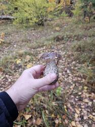 20261013_140753.jpg