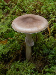 20261015-TAGE0622.thumb.jpg.b8f202cff9f6060ff11fff24e25c2adf.jpg
