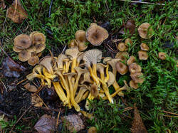 20261015-TAGE0638.thumb.jpg.de52ad2c20f2b81b0a2337a2aad143ea.jpg