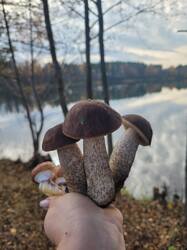 20261017_131132.jpg
