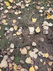 20261018_090310.jpg