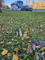 20261019_141154.jpg