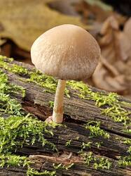 20261021_113136.thumb.jpg.b3e082dbb49e690d19a90caf9ec3a843.jpg