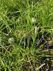 20261025_124126.jpg
