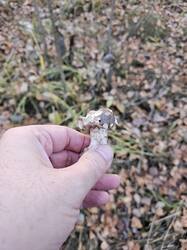 20261026_161615.jpg