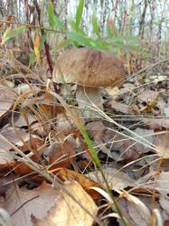 IMG_20261016_151033[1].jpg
