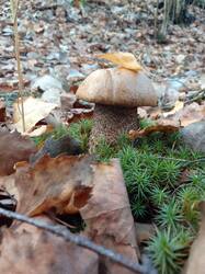 IMG_20261022_082456[1].jpg