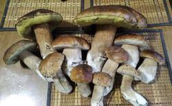 470163758_2313D-1KJPEG.thumb.jpg.afd554f3dc73aa619a8e03f3ac5fa4c8.jpg
