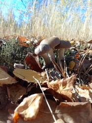 IMG_20261007_145212[1].jpg