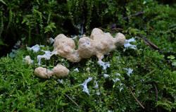 7B5A3060.JPG