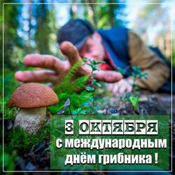 98598399_.thumb.jpg.ec9336ba249d6d510196cdc2a2313b6d.jpg