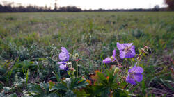 DSC01094.thumb.JPG.6b12cd21ab3ef8cf123de54fab6a306d.JPG