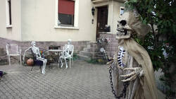 DSC01160.thumb.JPG.bd02f798a78d4cdac7fc2067d363e9cd.JPG