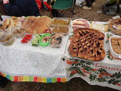 DSC06910.thumb.JPG.2cc93d77ac53b69d3cf7e6afa5edd516.JPG