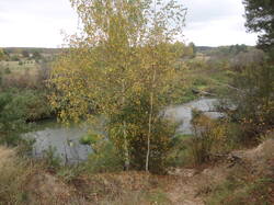 DSC06931.thumb.JPG.3de27a3c59389da4c75bcb0aa8b735dd.JPG