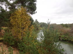 DSC06932.thumb.JPG.7ab956532cf5fac189d3cf80f919391a.JPG
