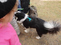 DSC06941.thumb.JPG.894eba69f2863fc24b0c55fd65c4c40a.JPG