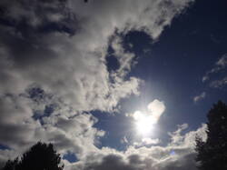 DSC06955.thumb.JPG.63b8588edfb9280b8a07224947806559.JPG