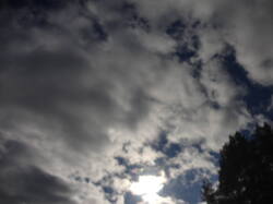 DSC06963.thumb.JPG.38bb663e062a32a855e3fd0984240521.JPG