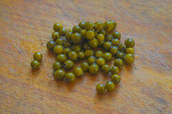 DSC09388.jpg
