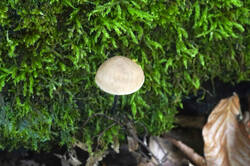 DSC09508.jpg