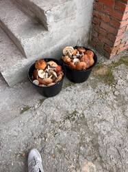 IMG-20261004-WA0000.jpg