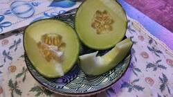 IMG-20261025-WA0001.thumb.jpeg.5b2c38007f88b29ee89aa4d1af51e53a.jpeg