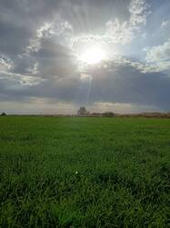 IMG20261019144746.thumb.jpg.d57db2cbfc26ee8adc9877fd14ed88ad.jpg