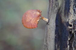 IMGP8600.JPG