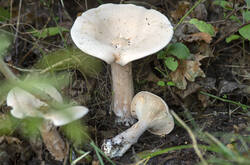IMGP8619_1920.jpg
