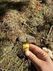 IMG_0636.jpeg