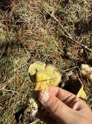 IMG_0637.jpeg