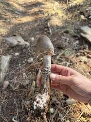 IMG_0657.jpeg