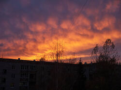 IMG_10137.jpg