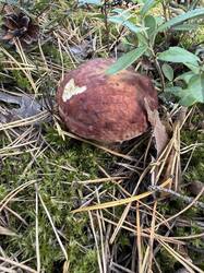 IMG_2002.jpeg
