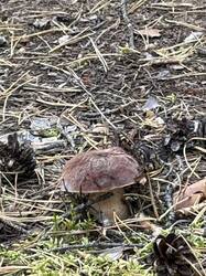 IMG_2012.jpeg