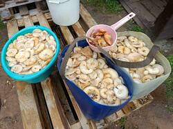 IMG_20260912_141415.jpg