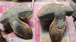IMG_20261001_012514.thumb.jpg.02c82c3c6db8cd748e98f31161fc5509.jpg