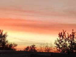 IMG_20261001_061440_665.jpg