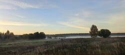 IMG_20261001_063057.jpg