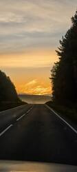 IMG_20261001_063200.jpg