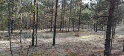 IMG_20261001_132816.jpg