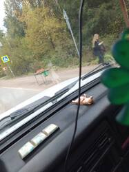 IMG_20261001_151053_533.thumb.jpg.4fdb67224fe558d2945ee625577fb4ec.jpg