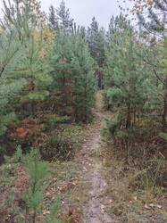 IMG_20261002_085820_175.jpg