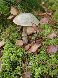 IMG_20261002_104958_268.jpg