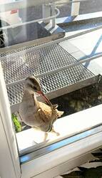 IMG_20261003_095722_847.jpg