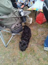 IMG_20261003_105034.thumb.jpg.1c851fa7d07e8e3e5d9c15b5615f0f53.jpg