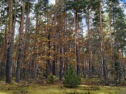 IMG_20261003_144405.jpg