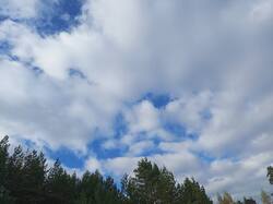 IMG_20261003_152155_919.jpg